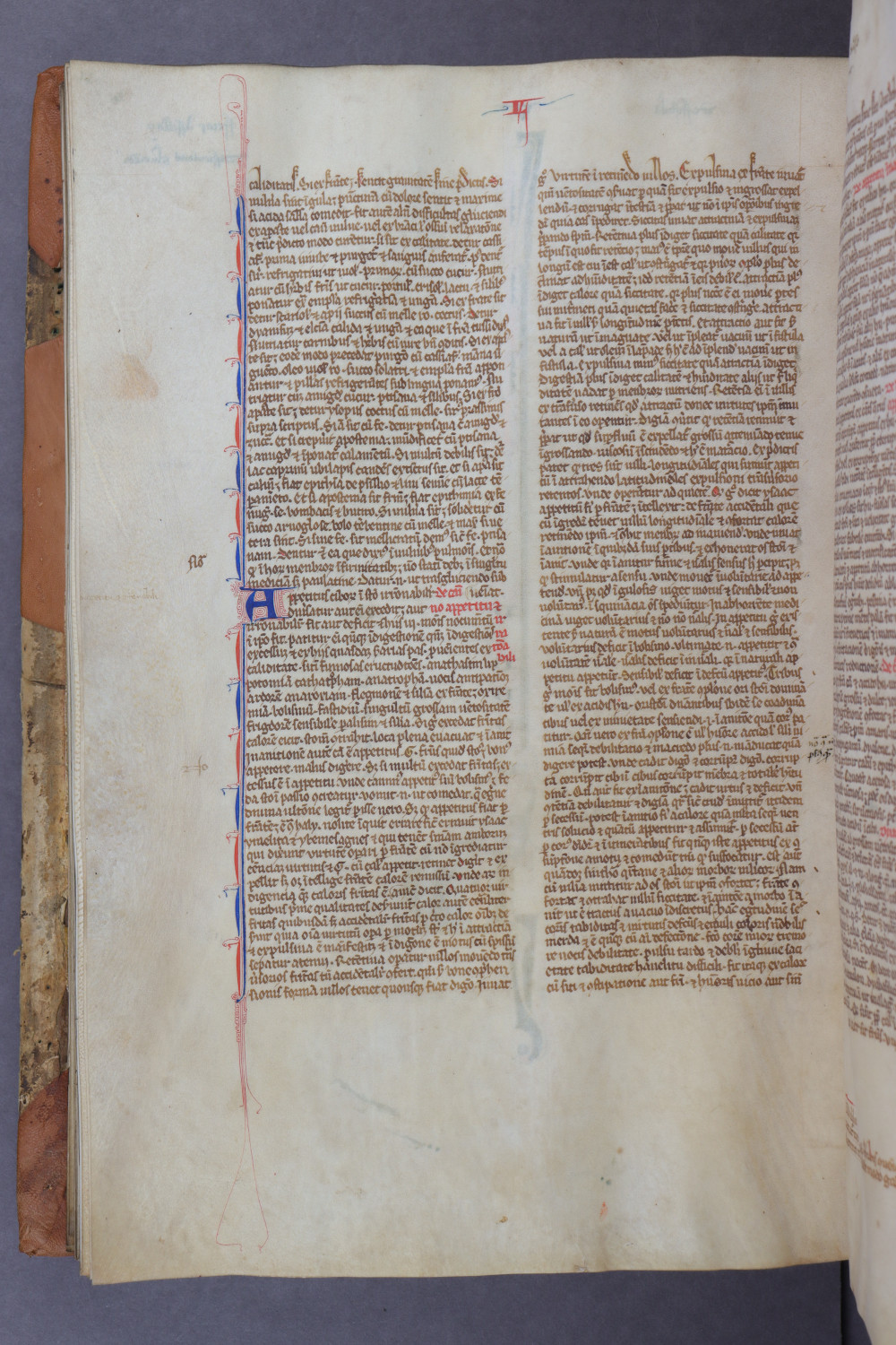 Folio 96 verso
